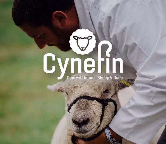 New Cynefin sheep village set to be a major Royal Welsh Show attraction RWAS Cynefin pic