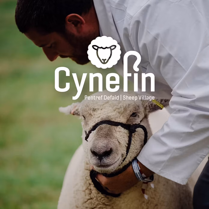 RWAS Cynefin pic RWAS Cynefin pic