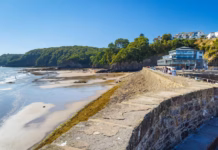 National Park Authority celebrates RTPI Cymru award for Saundersfoot Harbour regeneration project Saundersfoot 2