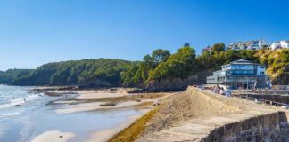 Award-Winning Sauna Refusal? Saundersfoot 2