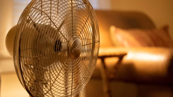 fan 3 cropped fan 3 cropped