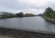 Wildlife Catapult Fears p mill pond gs