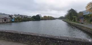 Wildlife Catapult Fears p mill pond gs