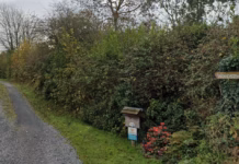 Retrospective Call To Keep Glamping Pod woodstock g s