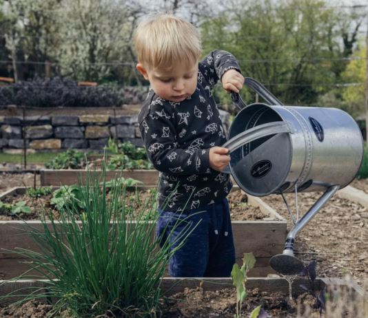 British Garden Centres’ Guide To Touch & Smell Gardening To Keep Kids Entertained This Summer photo 1611735341450 74d61e660ad2