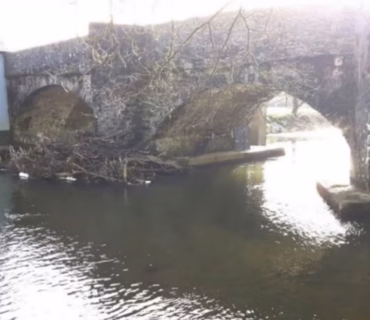 Debris Sweeper Plan river2