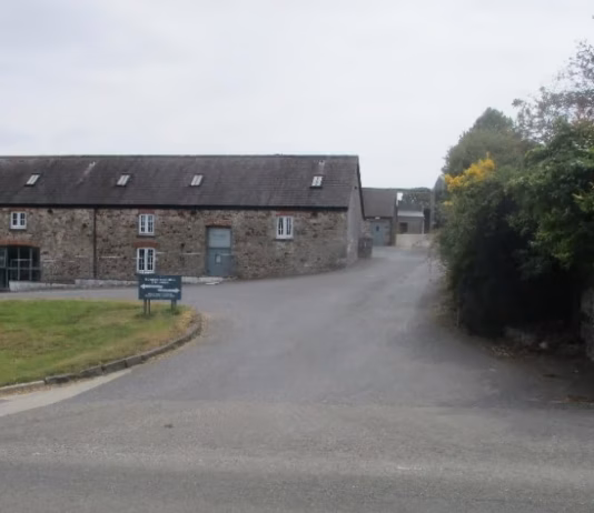 Calls To Expand Biomass Business biomass bstone hayston app