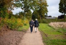 Great Walkpaths to go to in Carmarthenshire pexels vafphotos 14354943