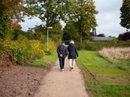 Great Walkpaths to go to in Carmarthenshire pexels vafphotos 14354943