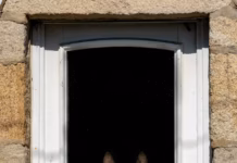 How To Help Your Dog Feel Safe When Left Alone photo 1570529987503 72542d17bcb6